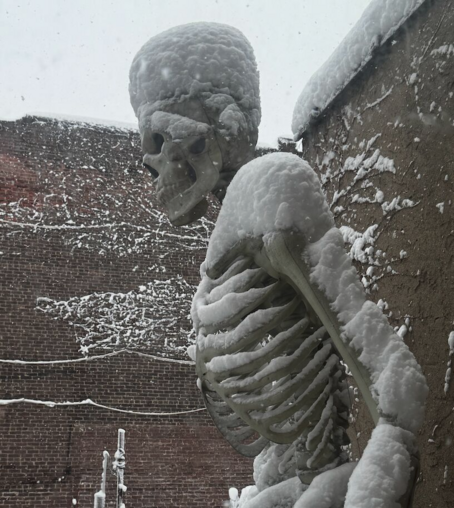 12 skeleton covered in snow that looks like armor.